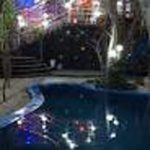 نرم افزار زیتون